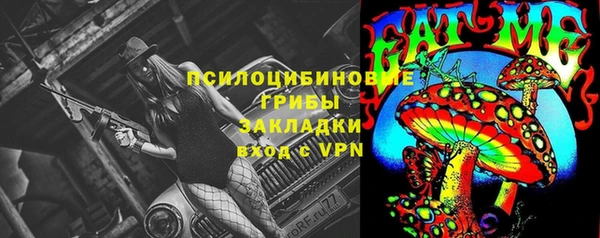 герыч Алексин