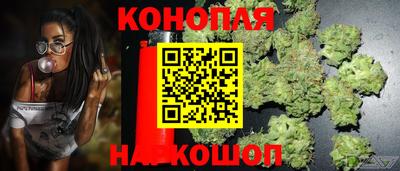 2c-b Надым